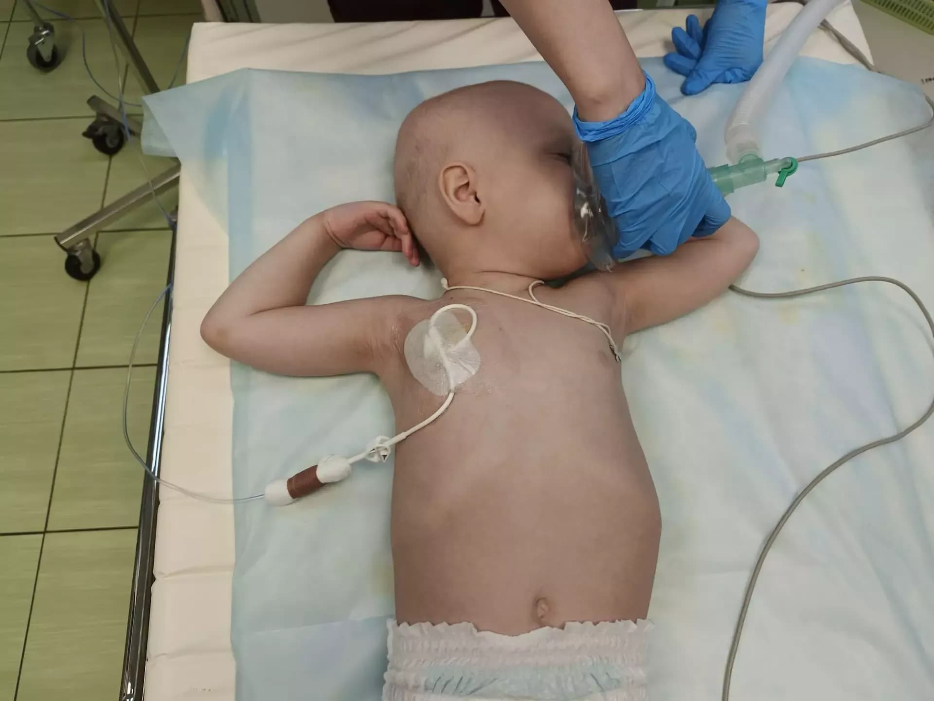 Мешков Кирилл