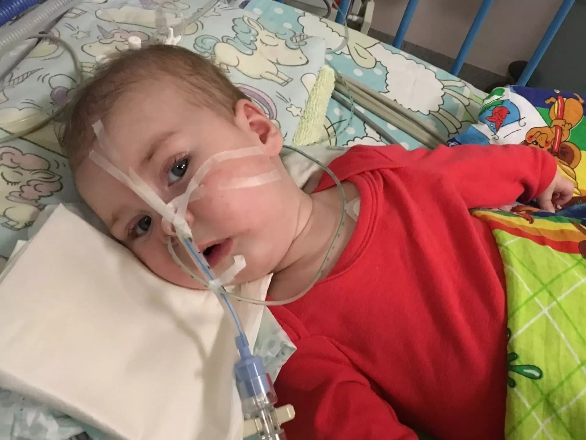 Егоров Никита